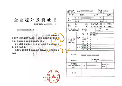 ODI备案成功案例1