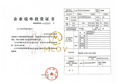 ODI备案成功案例2