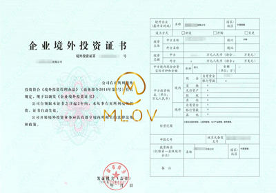 ODI备案成功案例3