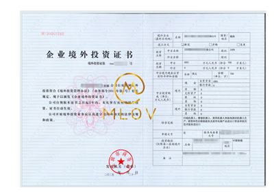 ODI备案成功案例1