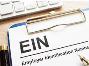 申请税务登记号